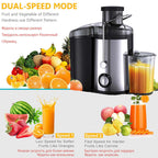 Juice Extractor